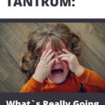 white and blue modern home schooling book cover (1)